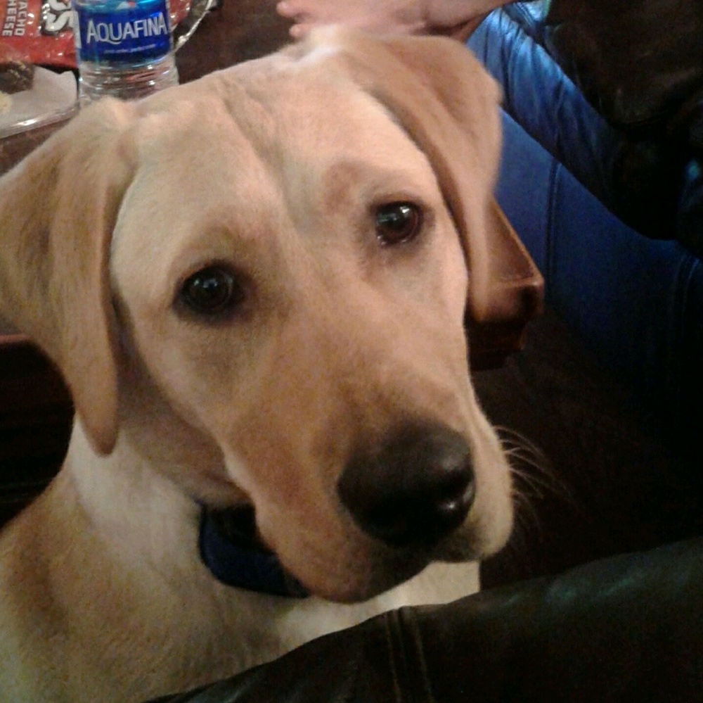 Meet your Posher, Sue